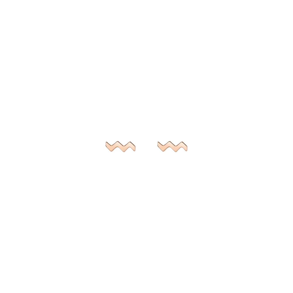 Zodiac Stud Earrings