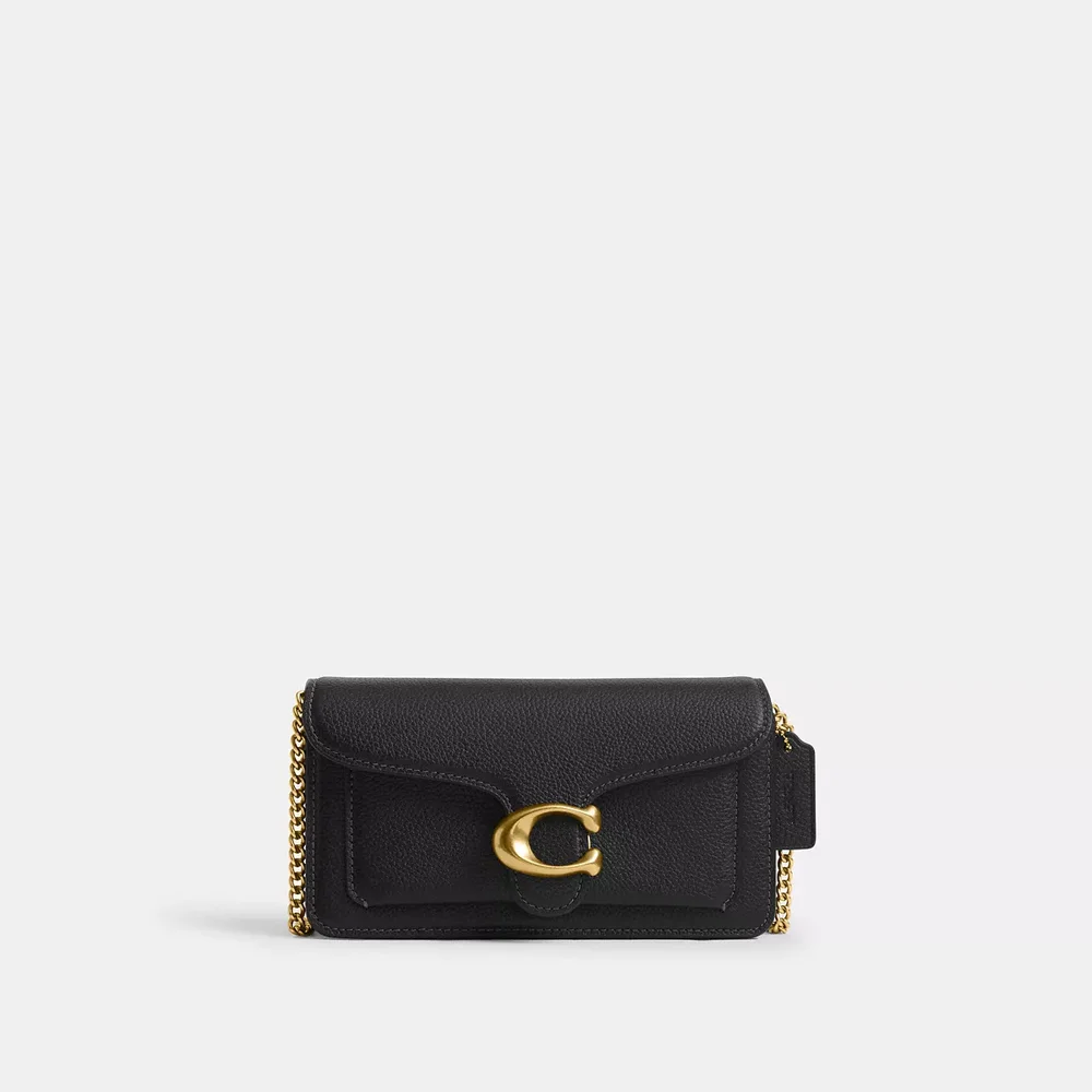 Tabby Chain Crossbody Bag 19