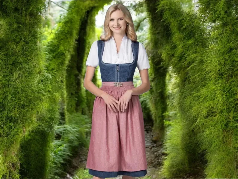 Dirndl size DE 42 / blue and rose dirndl dress / skirt length 70 cm / limited premium selection / sample dress from Trachtenhans