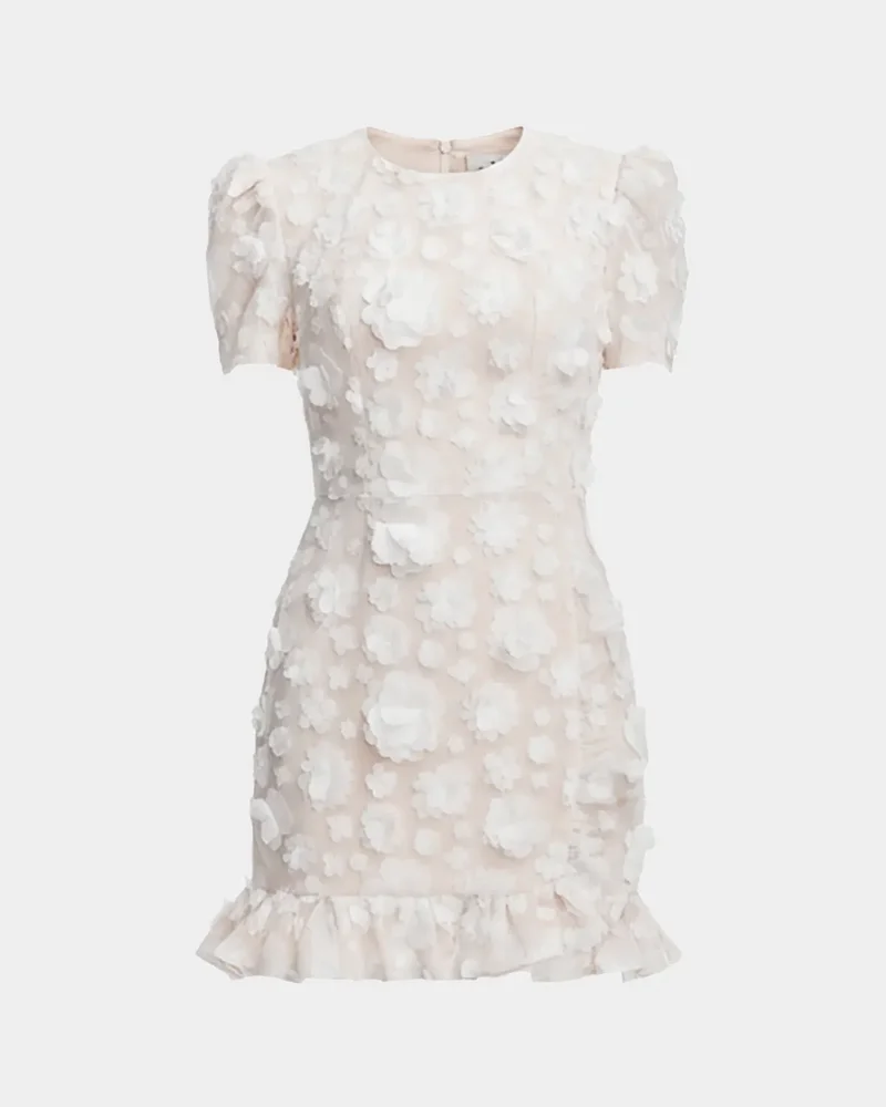 Brittany Embroidered Floral Applique Mini Dress