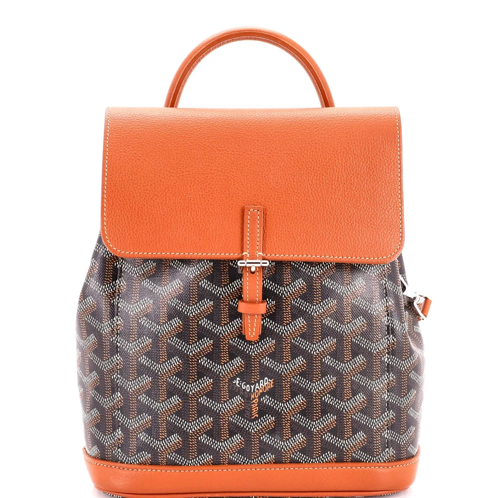 Pre-Owned Alpin Backpack Coated Canvas Mini