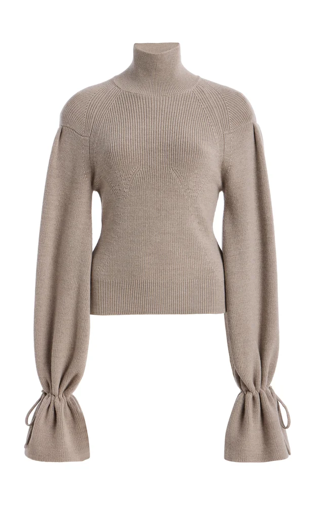 Camille Knit Wool Turtleneck Sweater