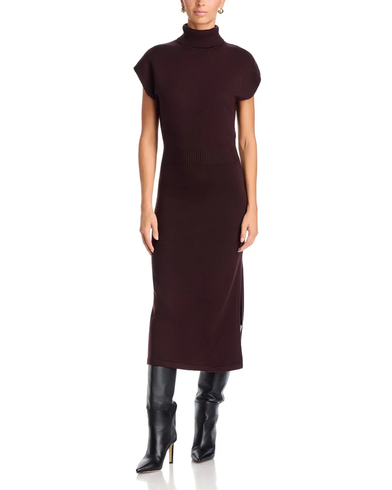 Natalie Wool Turtleneck Dress