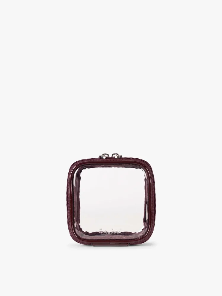 Tiny Clear Cosmetics Case