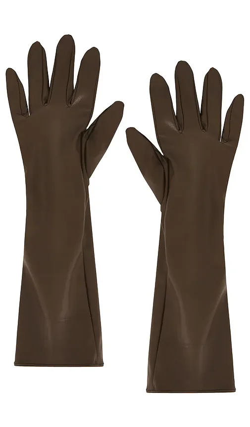 Carmen Gloves petit moments