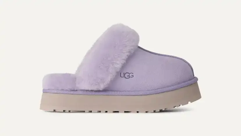 Disquette Slipper
