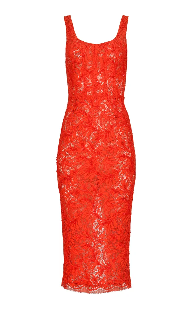 Stellar Lace Cotton Midi Dress