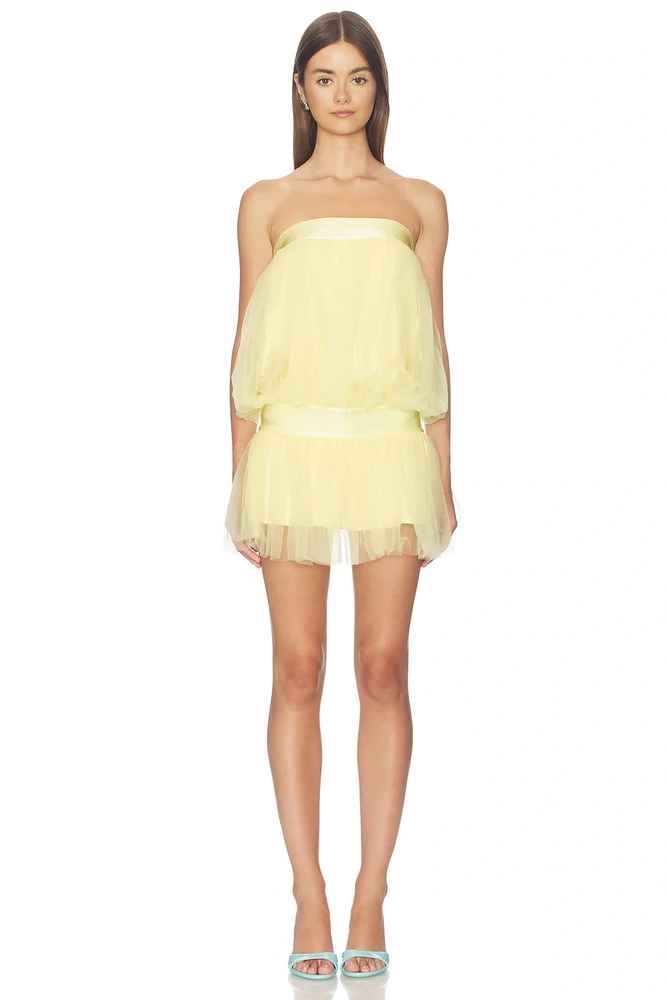 Tutu Dress