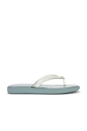 Jelly Flip Flop Sandal