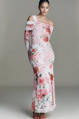 Tina Off-Shoulder Mesh Maxi Dress