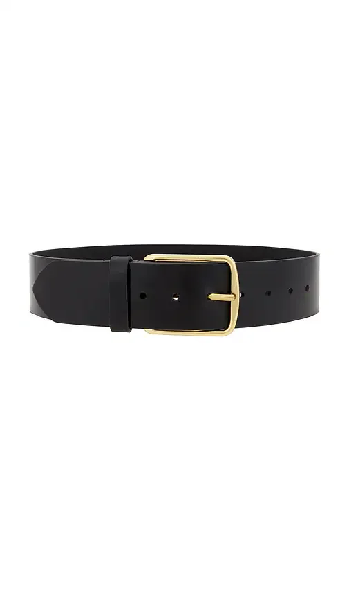 The Icon Belt