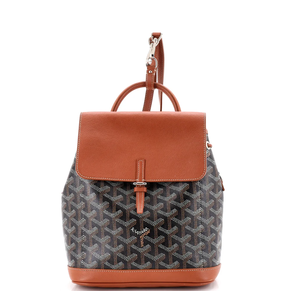Pre-Owned Alpin Backpack Coated Canvas Mini