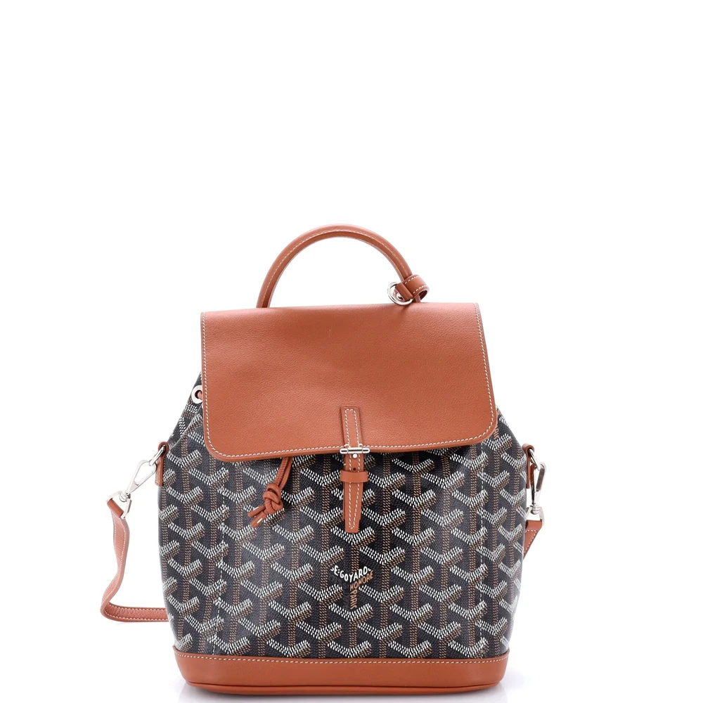 Pre-Owned Alpin Backpack Coated Canvas Mini