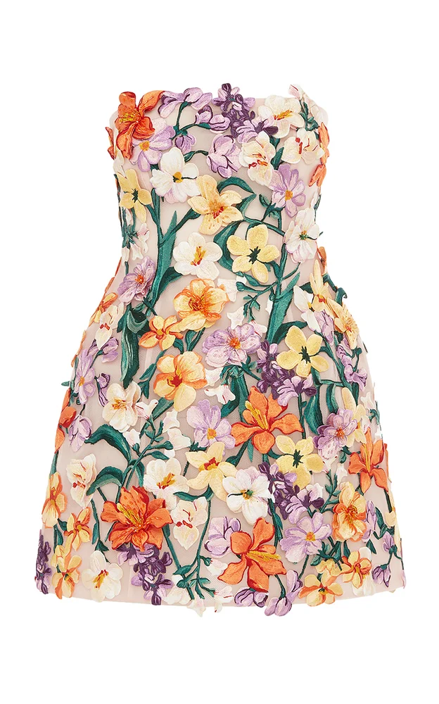 Roselle Hand-Embroidered Mini Dress