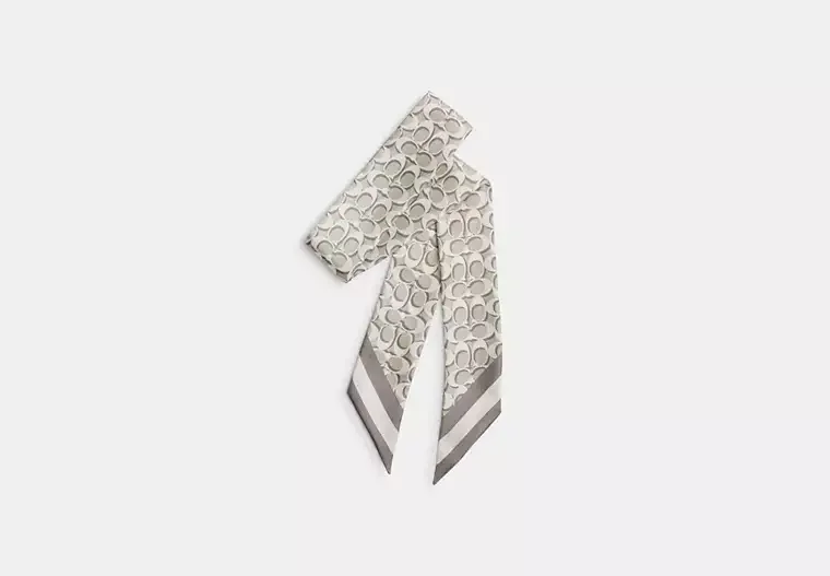 Signature Silk Skinny Scarf