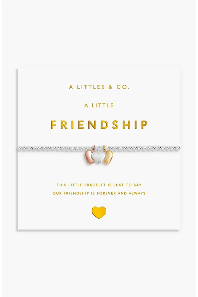 A Little Charmed Moments Friendship Bracelet
