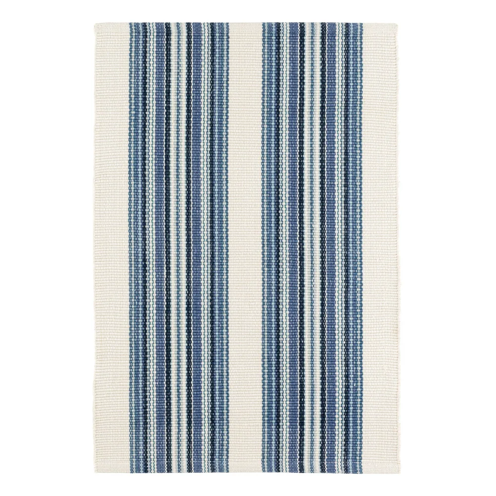 Road Runner Handwoven Indoor/Outdoor Rug in Blue