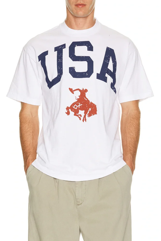 Usa 250 Collection Tee