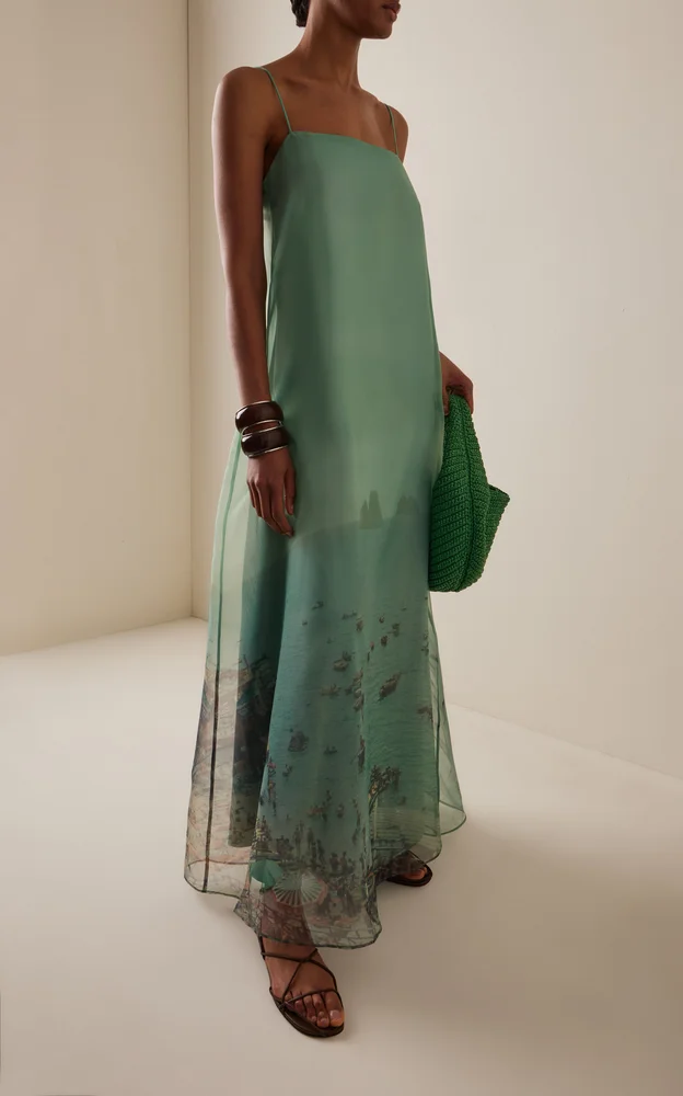 Delfina Printed Organza Maxi Dress