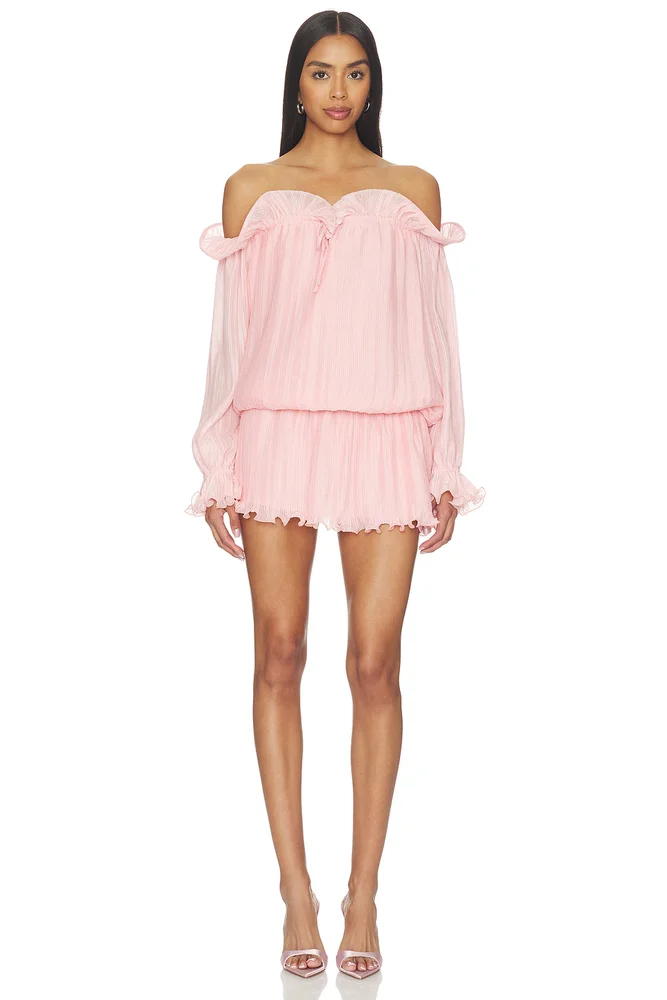 Potpourri Mini Dress
