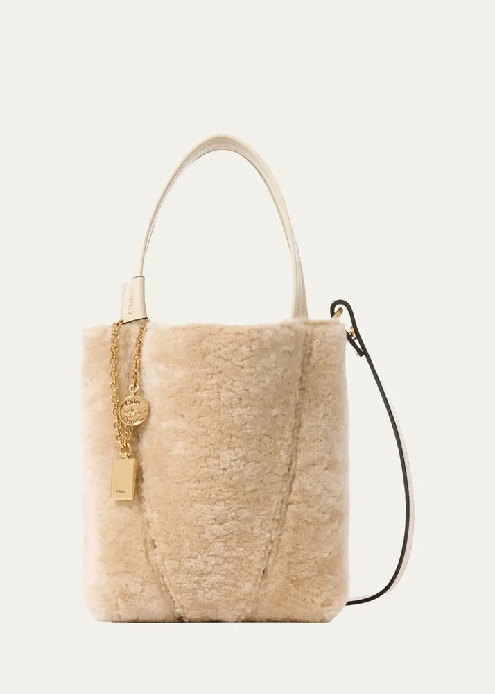 Spin Small Shearling Tote Bag