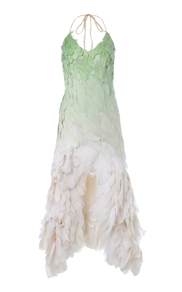 Gradient Feathered Gown