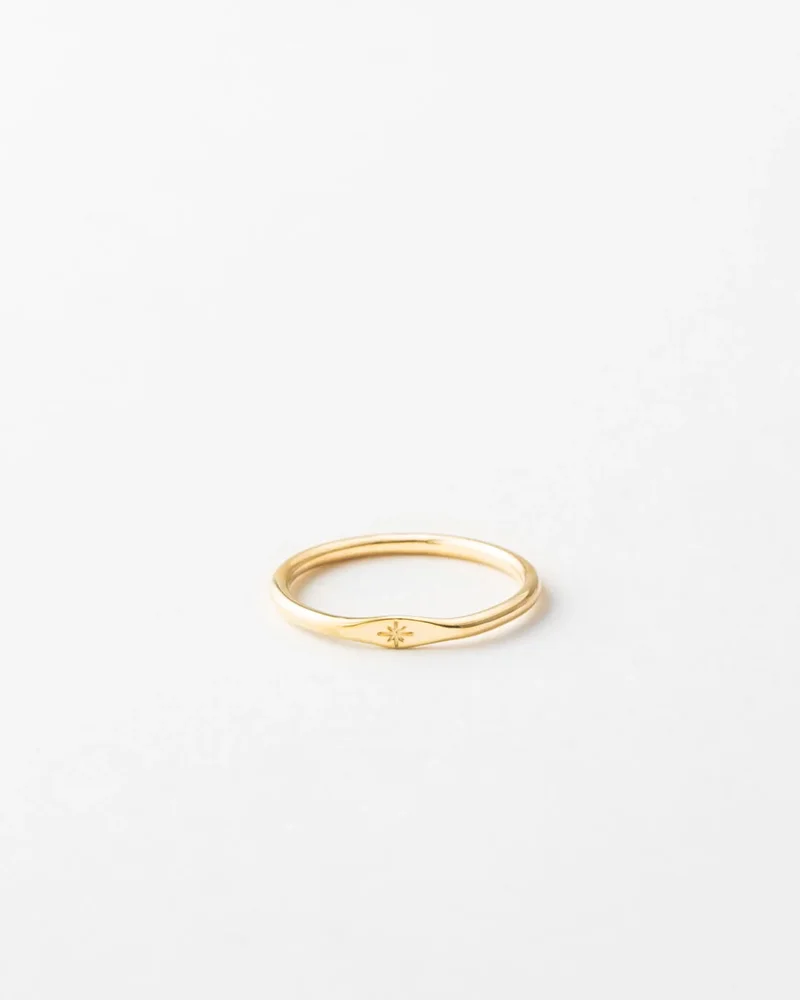 Stellar Signet - 14k Solid Gold