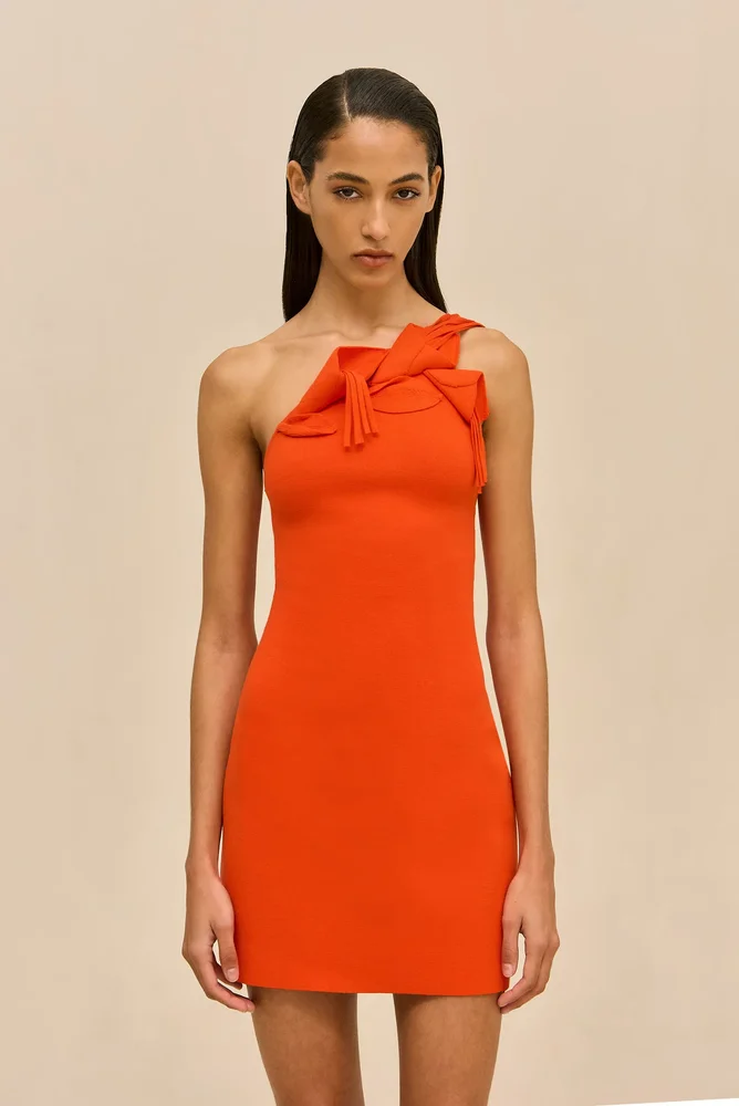 Camelia Knit Dress