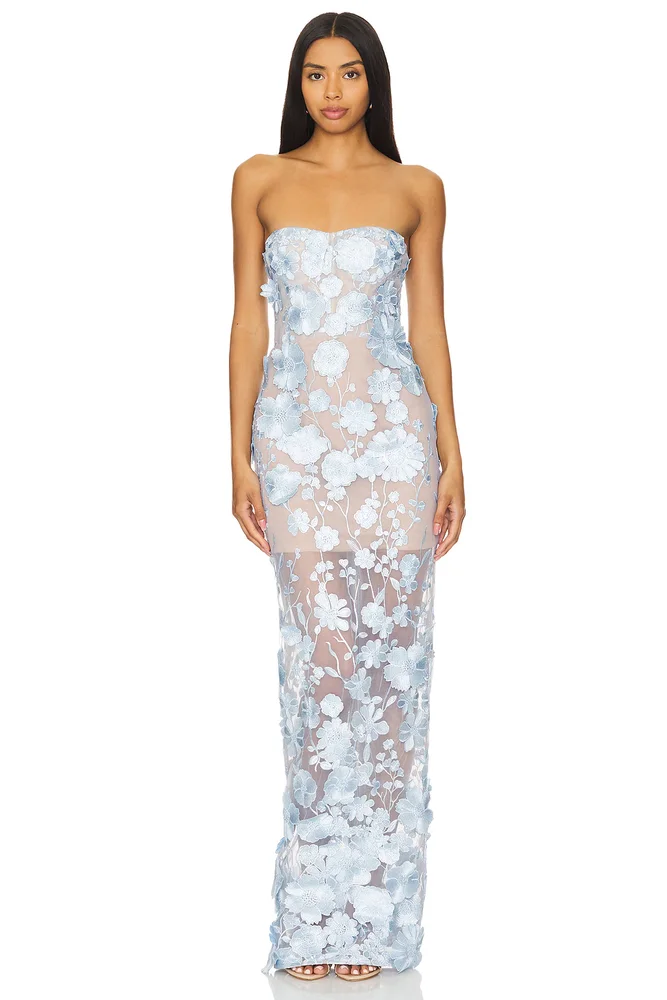 x REVOLVE Jasmine Maxi Dress