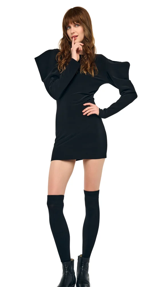 WING SLEEVE MINI DRESS