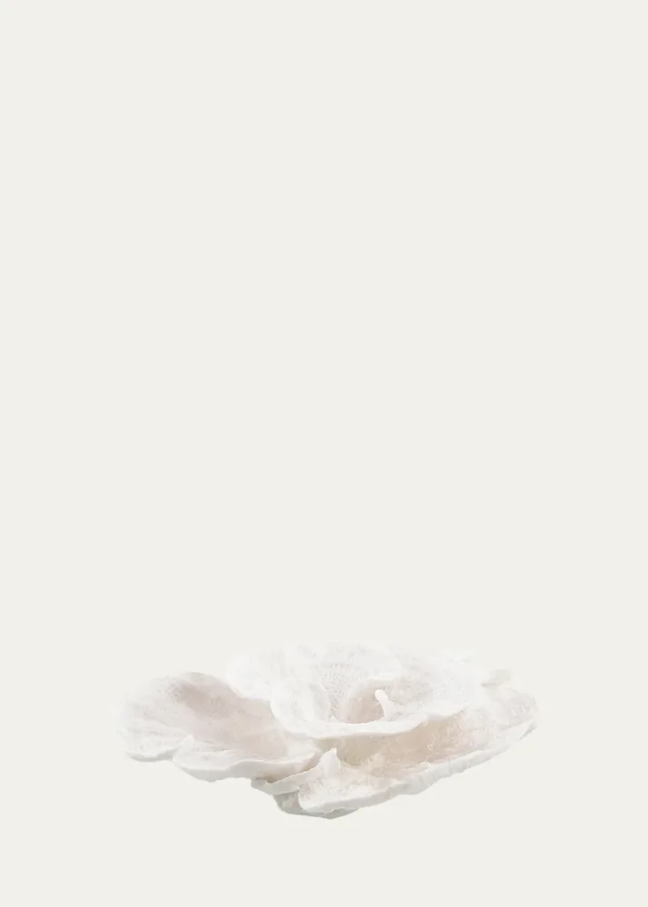 Foliose Coral