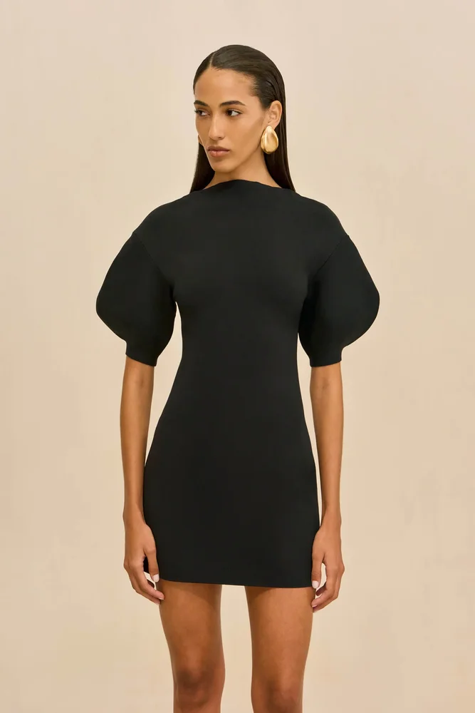 Iva Knit Dress