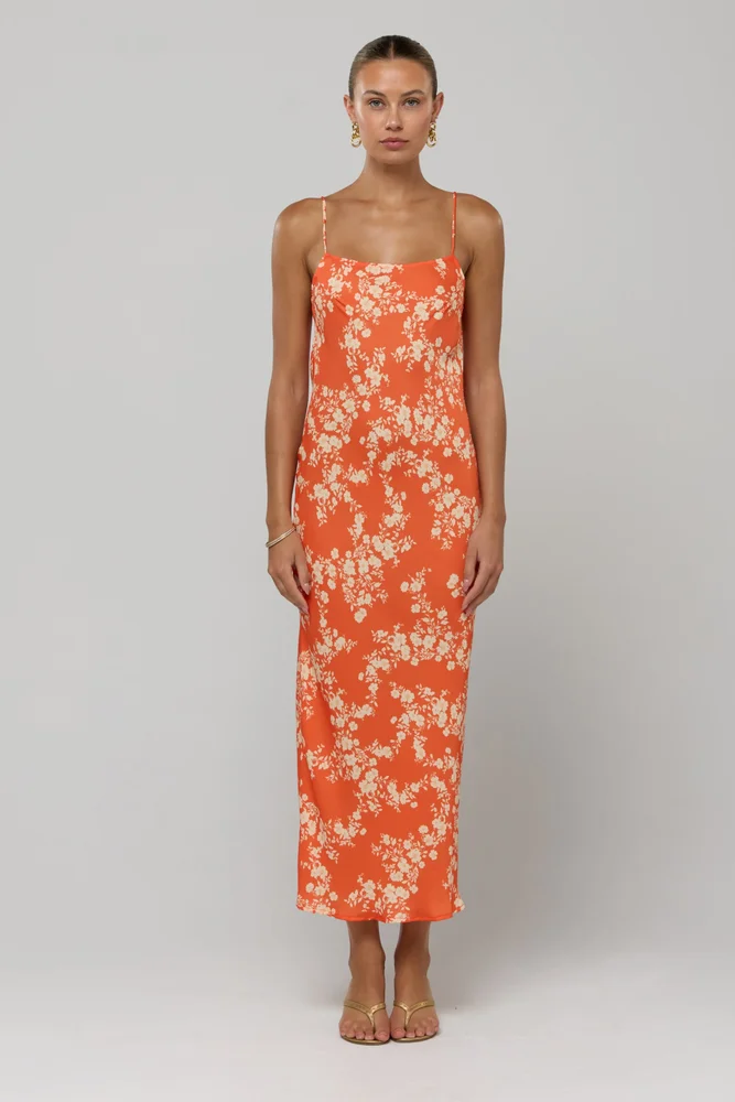 Meryl in Orange Blossom