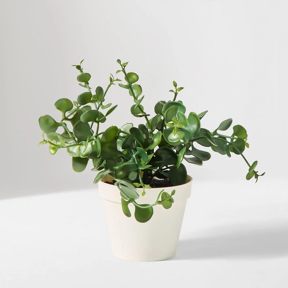 Faux Eucalyptus Potted Plant
